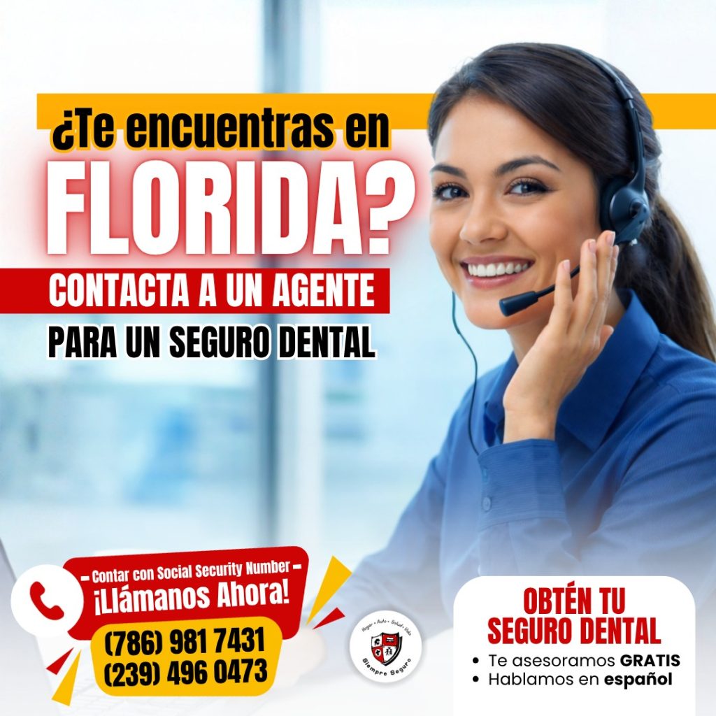 seguro dental florida